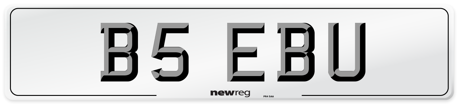 B5 EBU Number Plate from New Reg